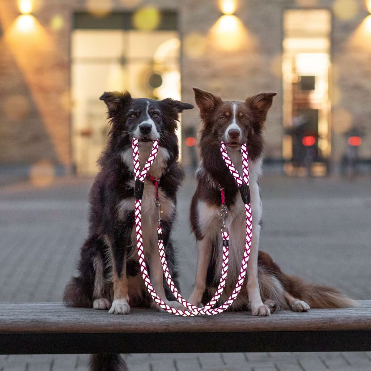 V5HE262A149F3D5D776F1D07A53C0EA1B99R5329953P5