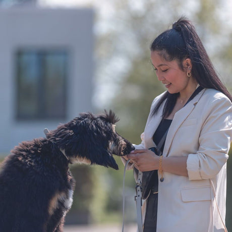 V5H484ED883D71F36FB3FEC392AEB8DAF52R5329740P8