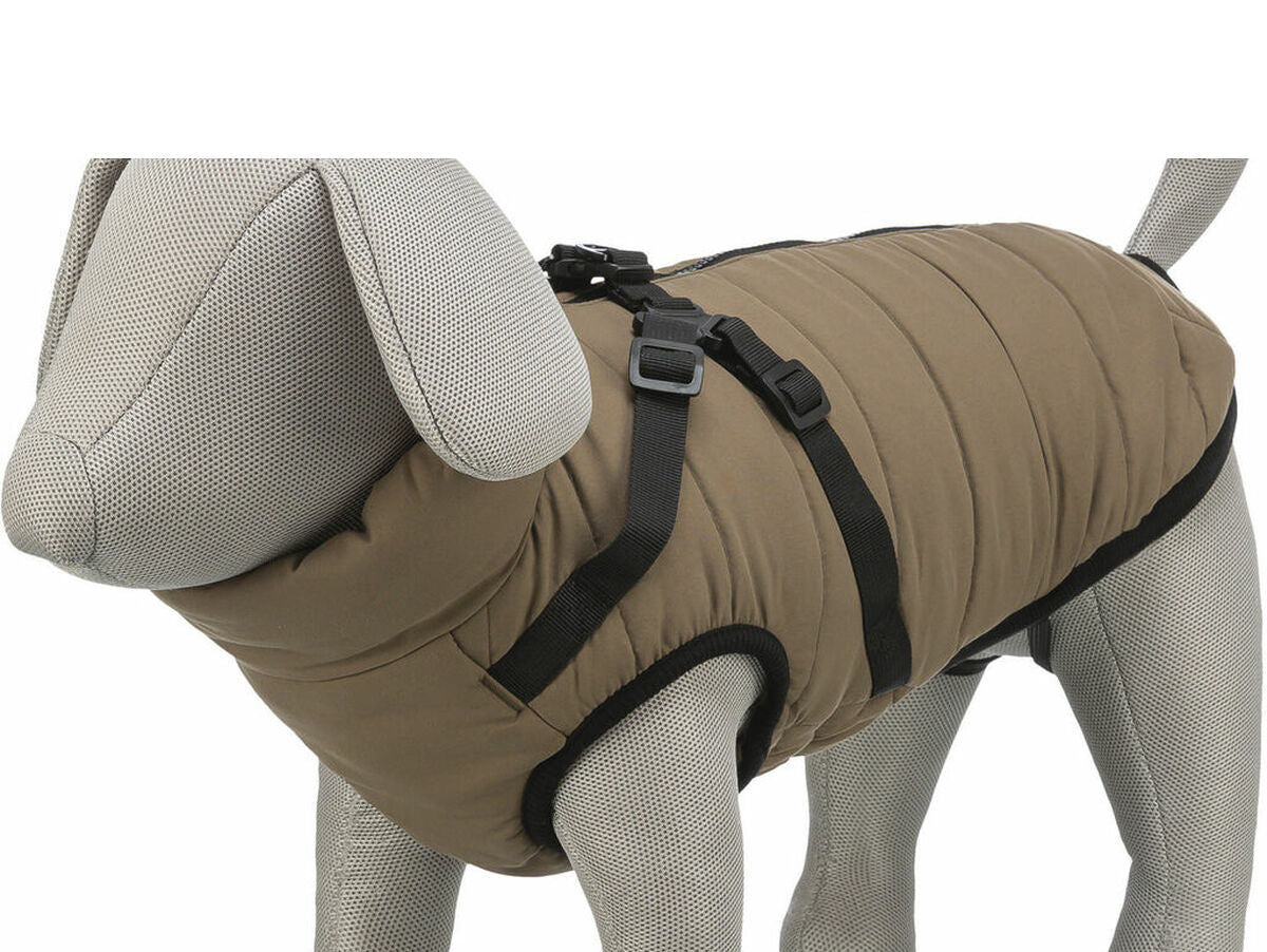 V4H0FAB5F8221A6BD719B93F8AE04AAB07CR7480128P3