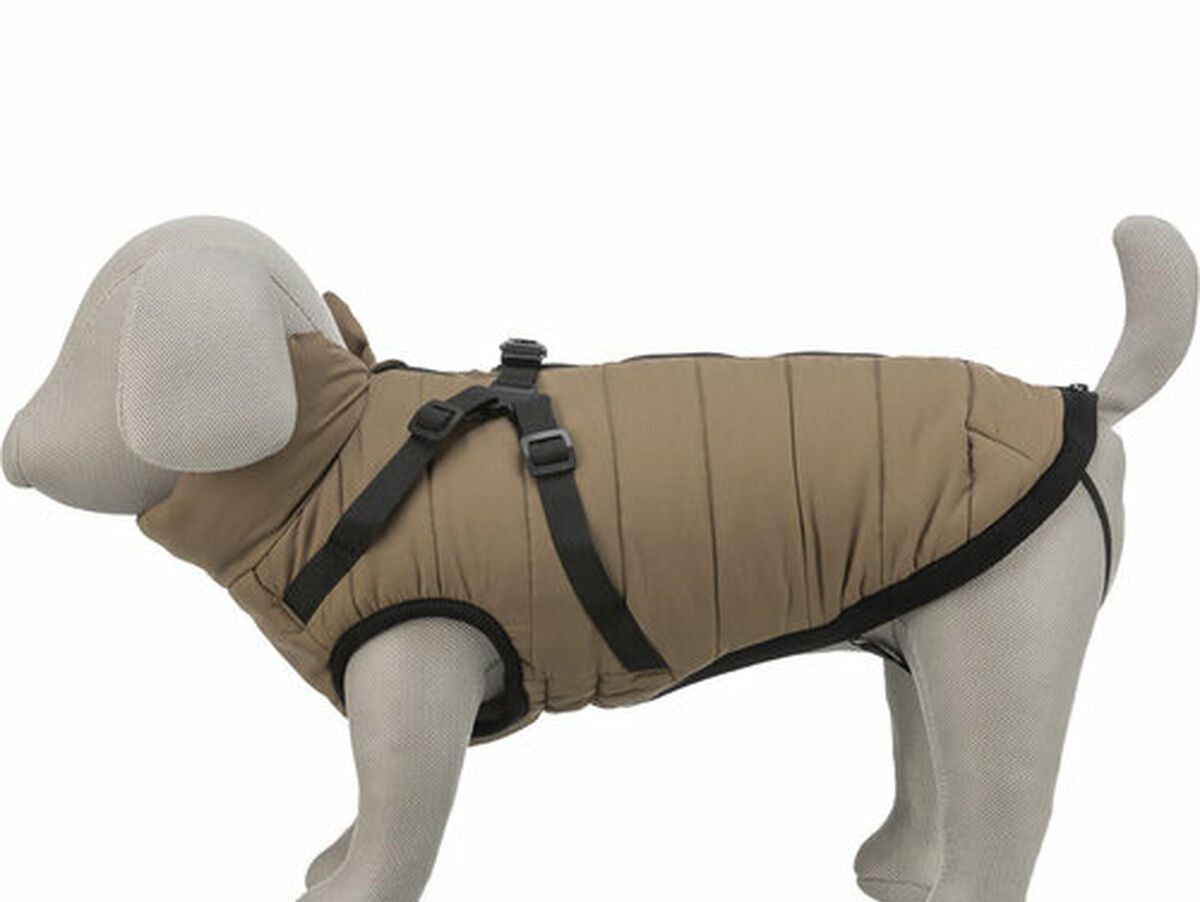 V4HBD99177399060A0E2A0B55CB079B128DR7480135P6