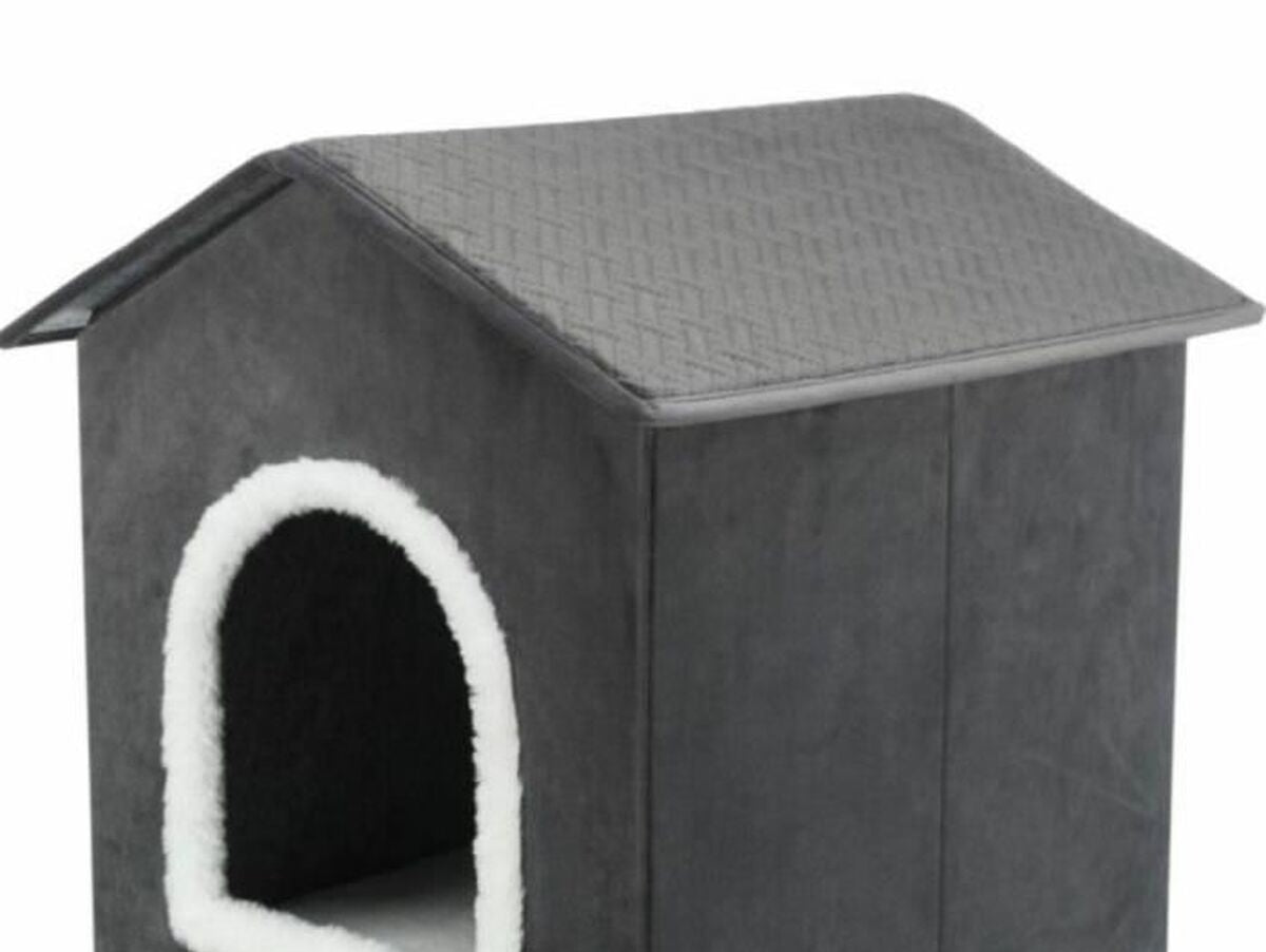 V6HBE51ADBDCAC37318B5E065FB305EF9D4R6242922P1