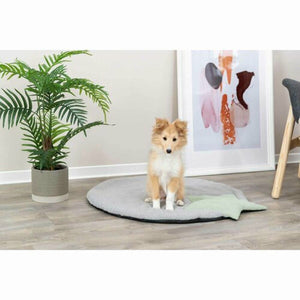 V5H8C44DEE673936059539781CA9179DC1ER7446976P8