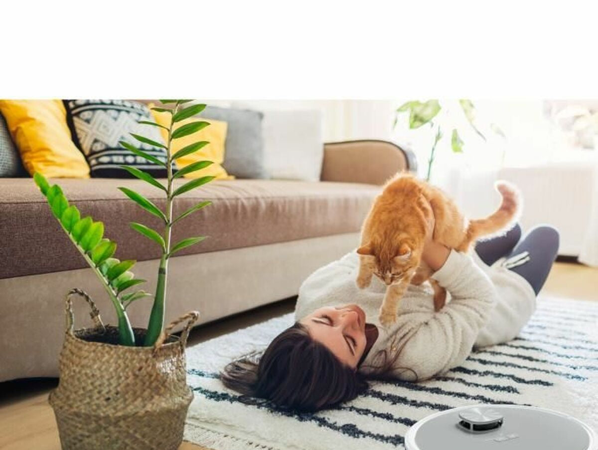 V7H3E678B6951A4F0C1A251649EEFC6A9C6R7022731P6