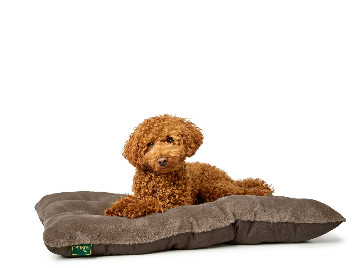 V5H45EF2958748EEC56DF1F5F188C7D0938R5574598P3