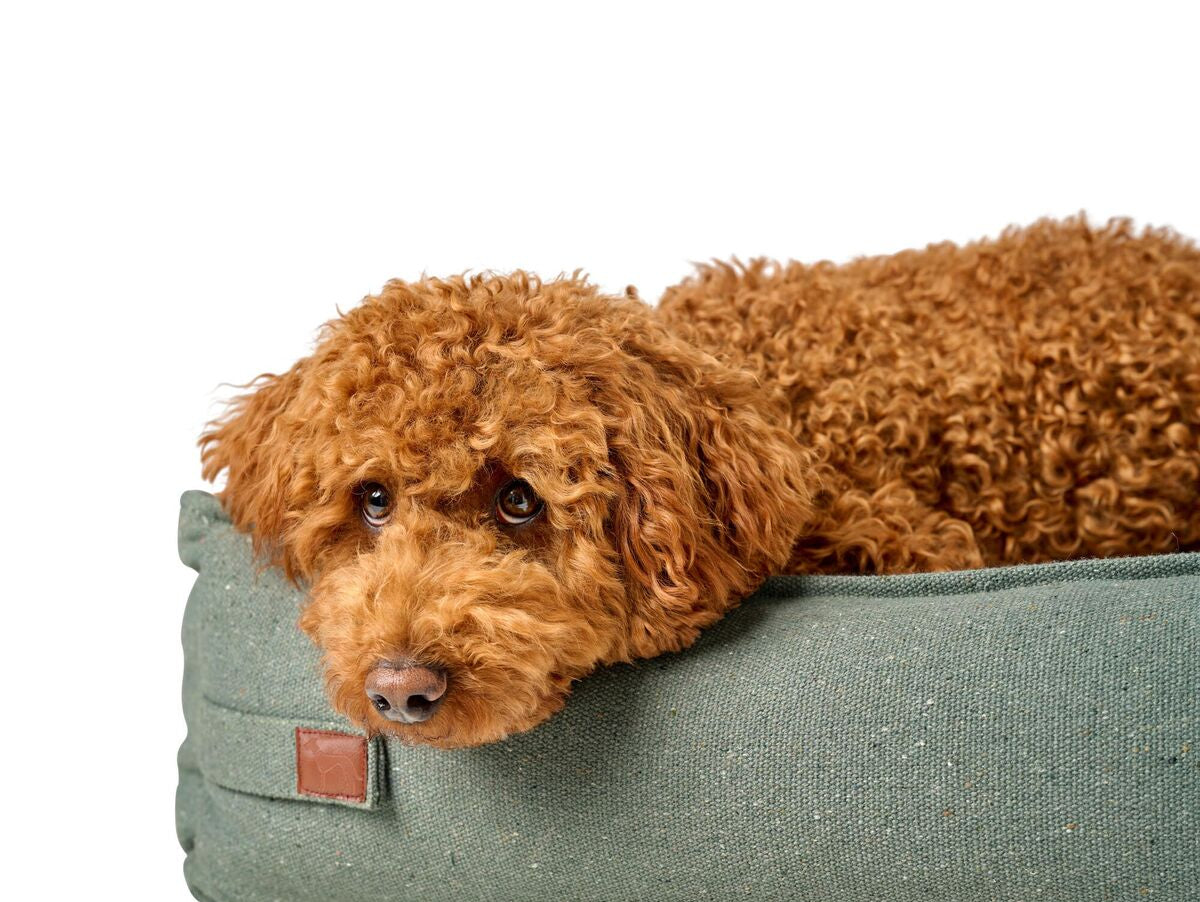 V5H9BC092FCEDA9606CDC35073BC8E94D55R5574629P7