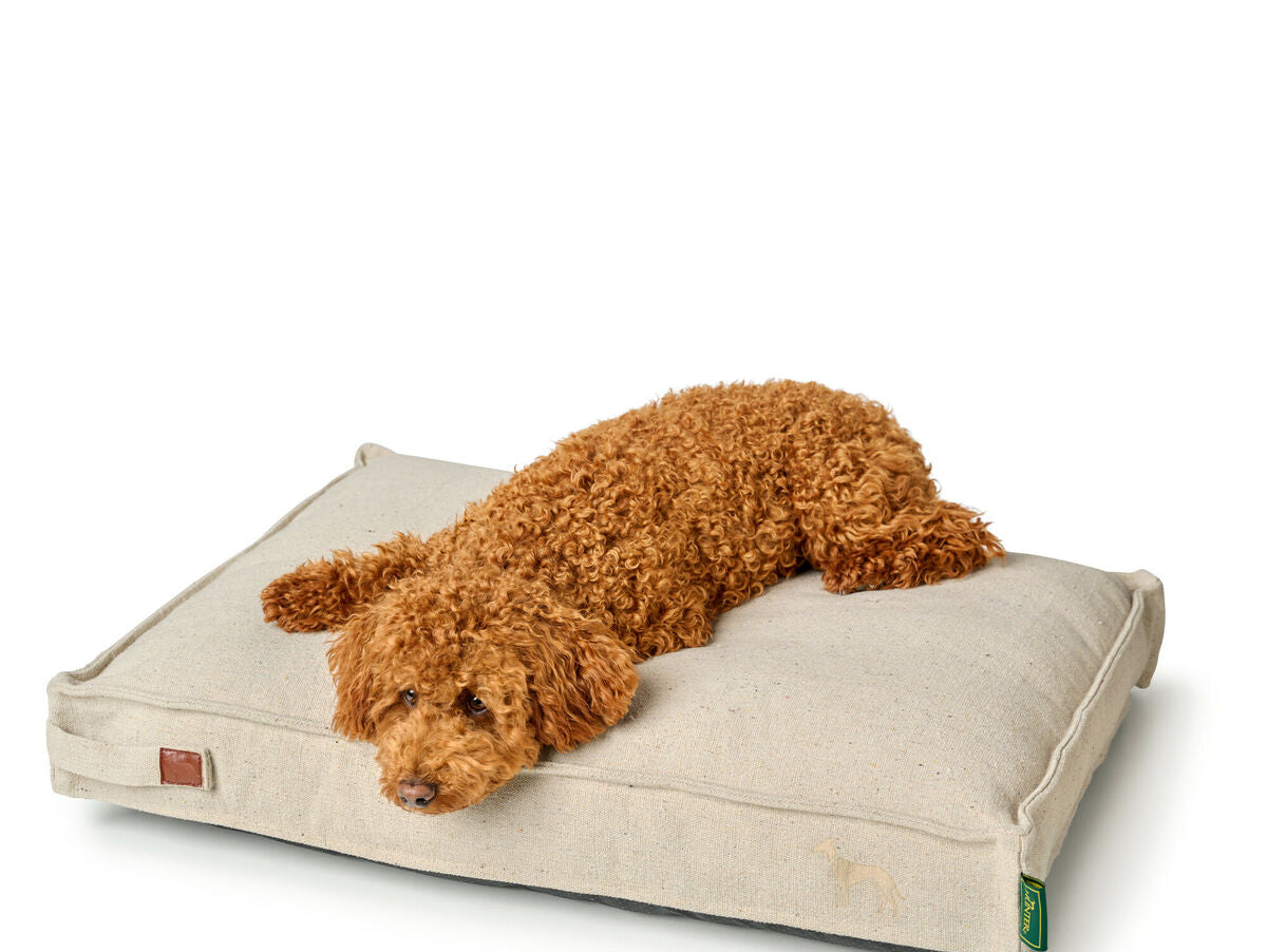 V5H426FDBC2A0B0FEAD589C7490D603916AR5574610P3