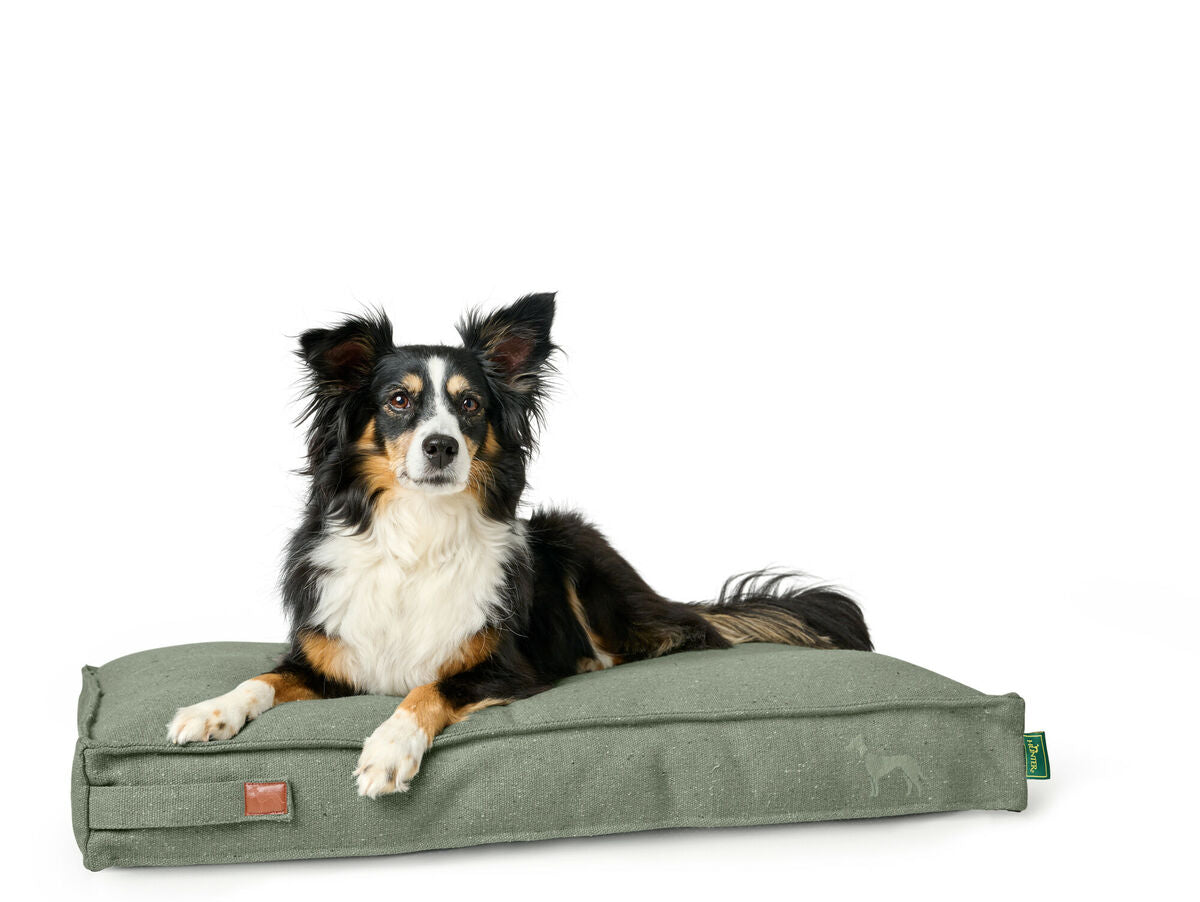 V5H2483AE99741374ABC41A5D787D075A69R5574642P4