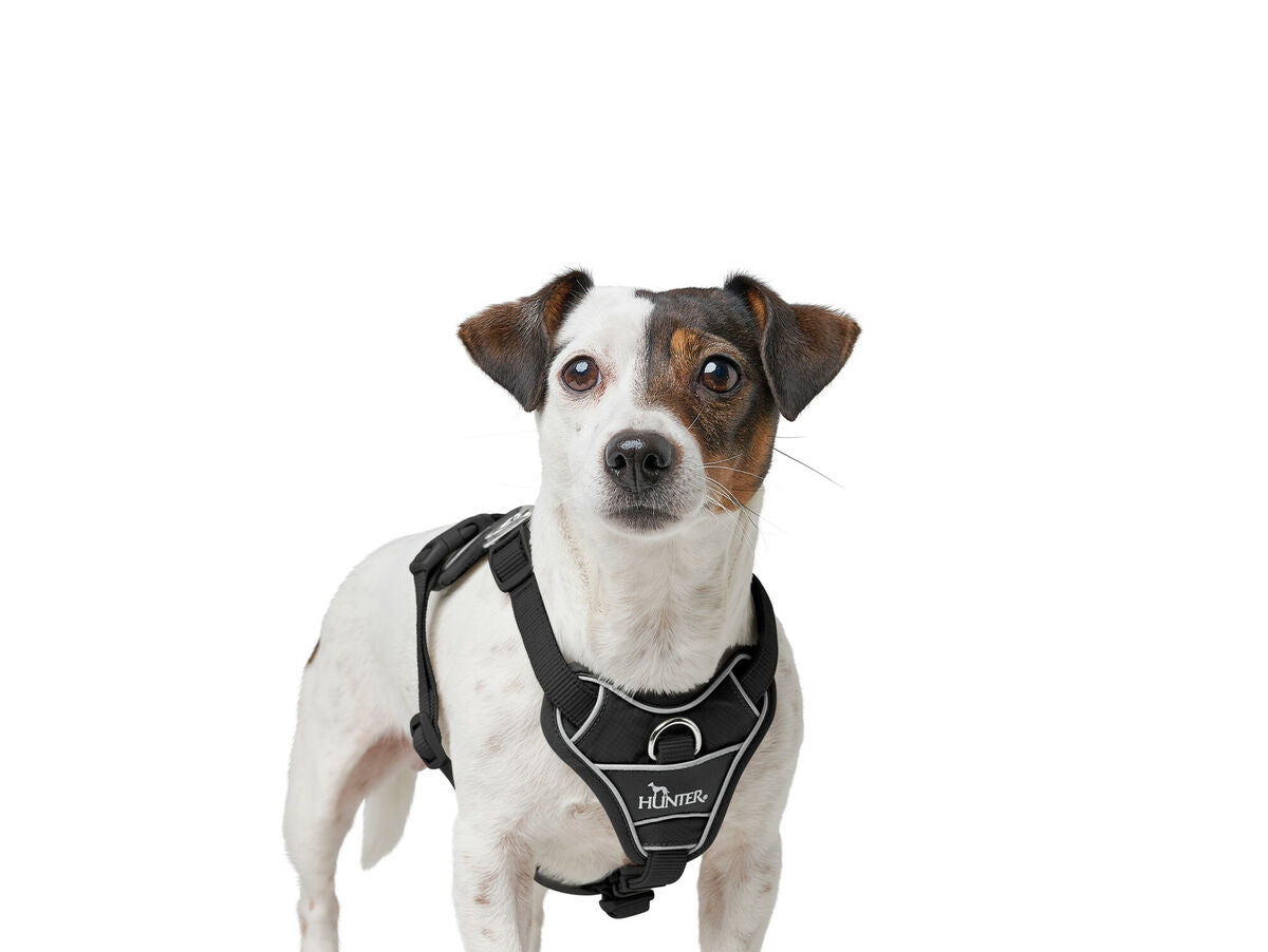 V5H51668518A324026FAA5025647E958290R5575677P4