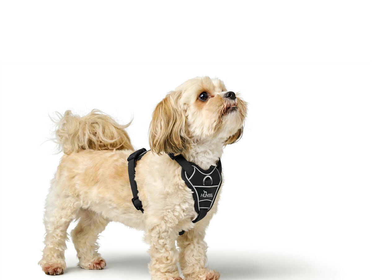 V5HA1A4A7CEA65C52AC5B930BBEA9484892R5575637P4