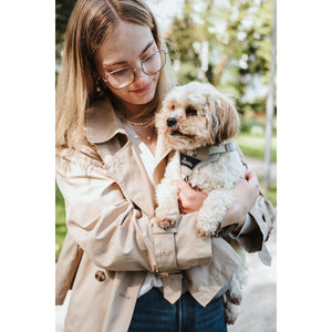 V5H45AAF7F01A6E46690EDFD19602456609R5575672P4