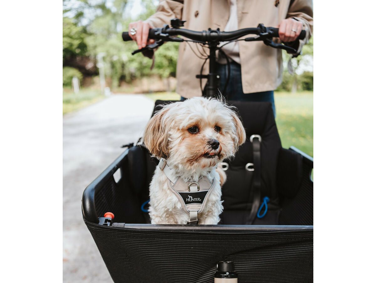 V5H11DF12927148036F13C16DF2128492AAR5575674P5