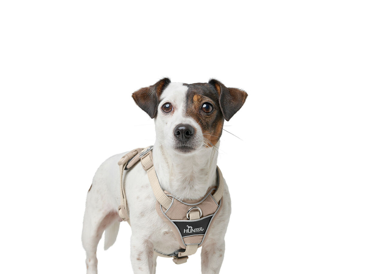 V5HA8BD08DA3BCEC3AED3C2C0868448FDEDR5575649P4