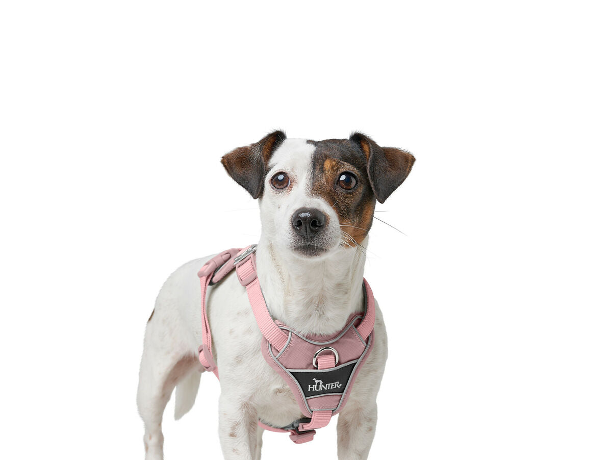 V5HC53E3E6EC033E2B77E8B4007EF282699R5575593P5