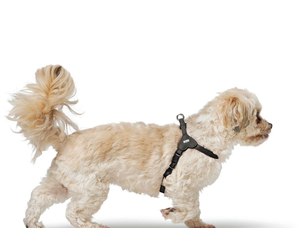 V5HB6DE8B73324DDDC9DDEA760145B30E2AR5575662P4