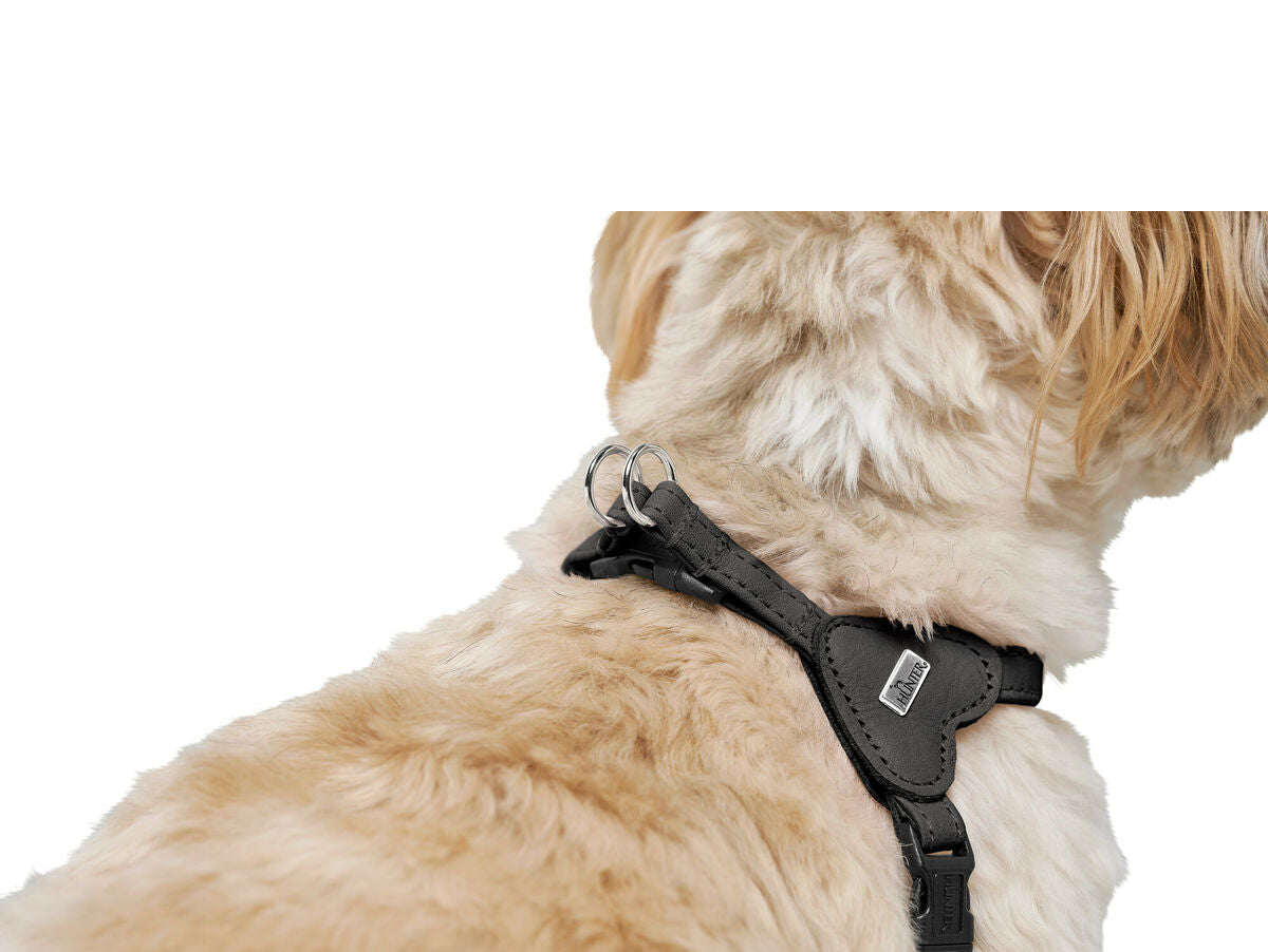 V5H046D2E5D5B5A9B11E983327C6F372F5BR5575664P5