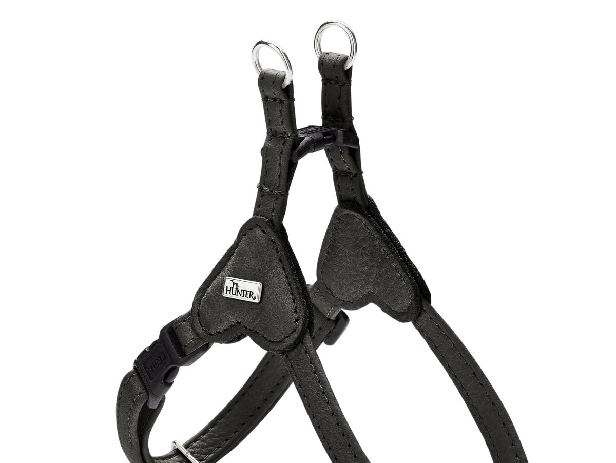 V5HECF9226531E2D45546420B6C7FFB0B7DR5575725P1