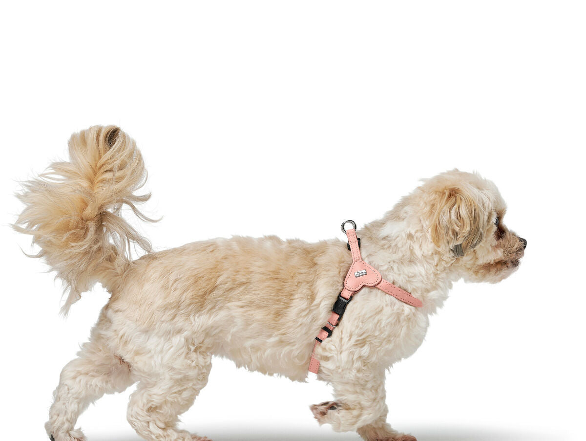 V5H490A989B47079C918D21D58A28FA666ER5575567P2