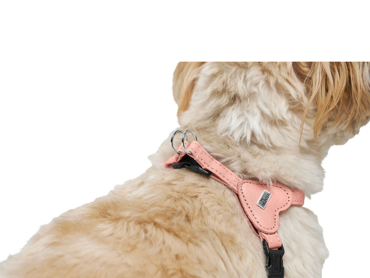 V5HEEAA3D65284B6FE86522E0CA58D5F8A2R5575595P4