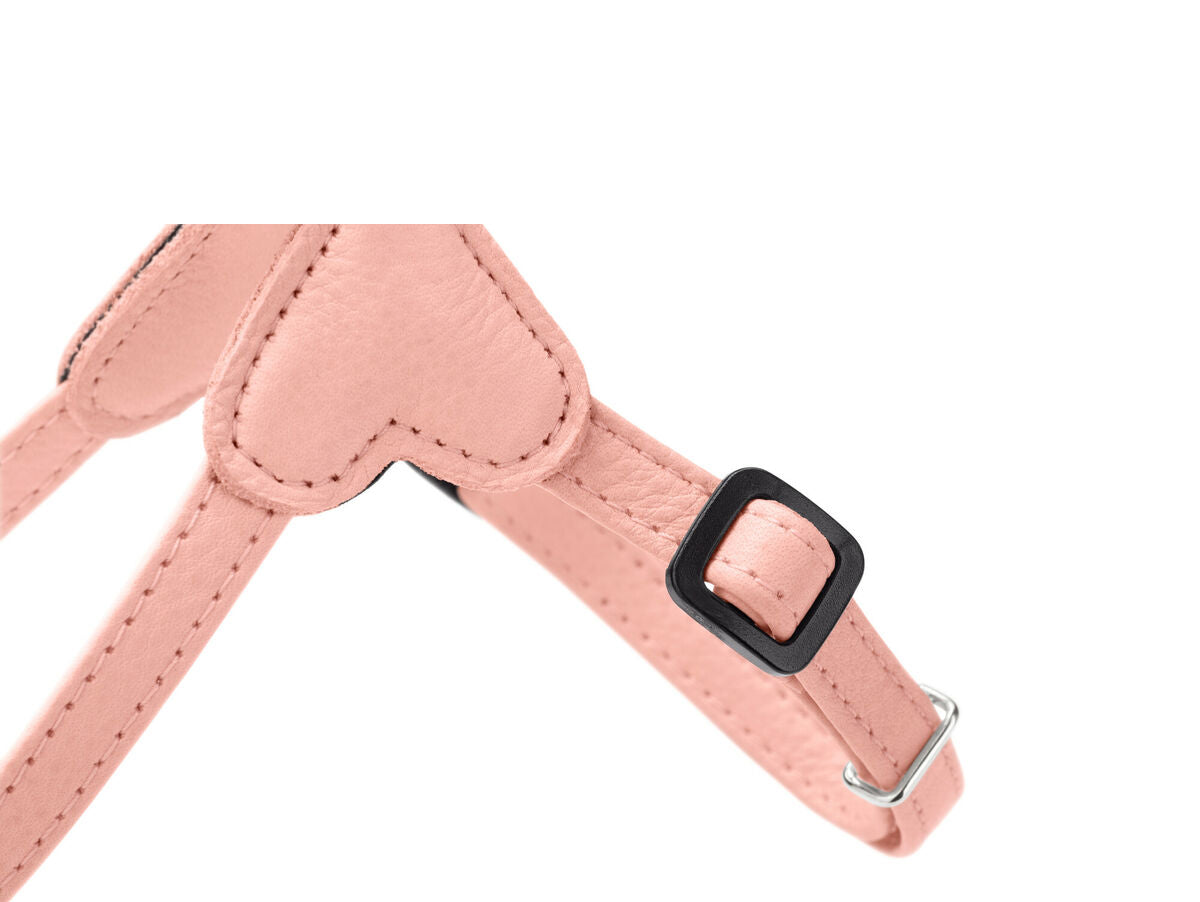 V5HC749CCACD84FB71A29F22D2FF01AAF7ER5575741P2