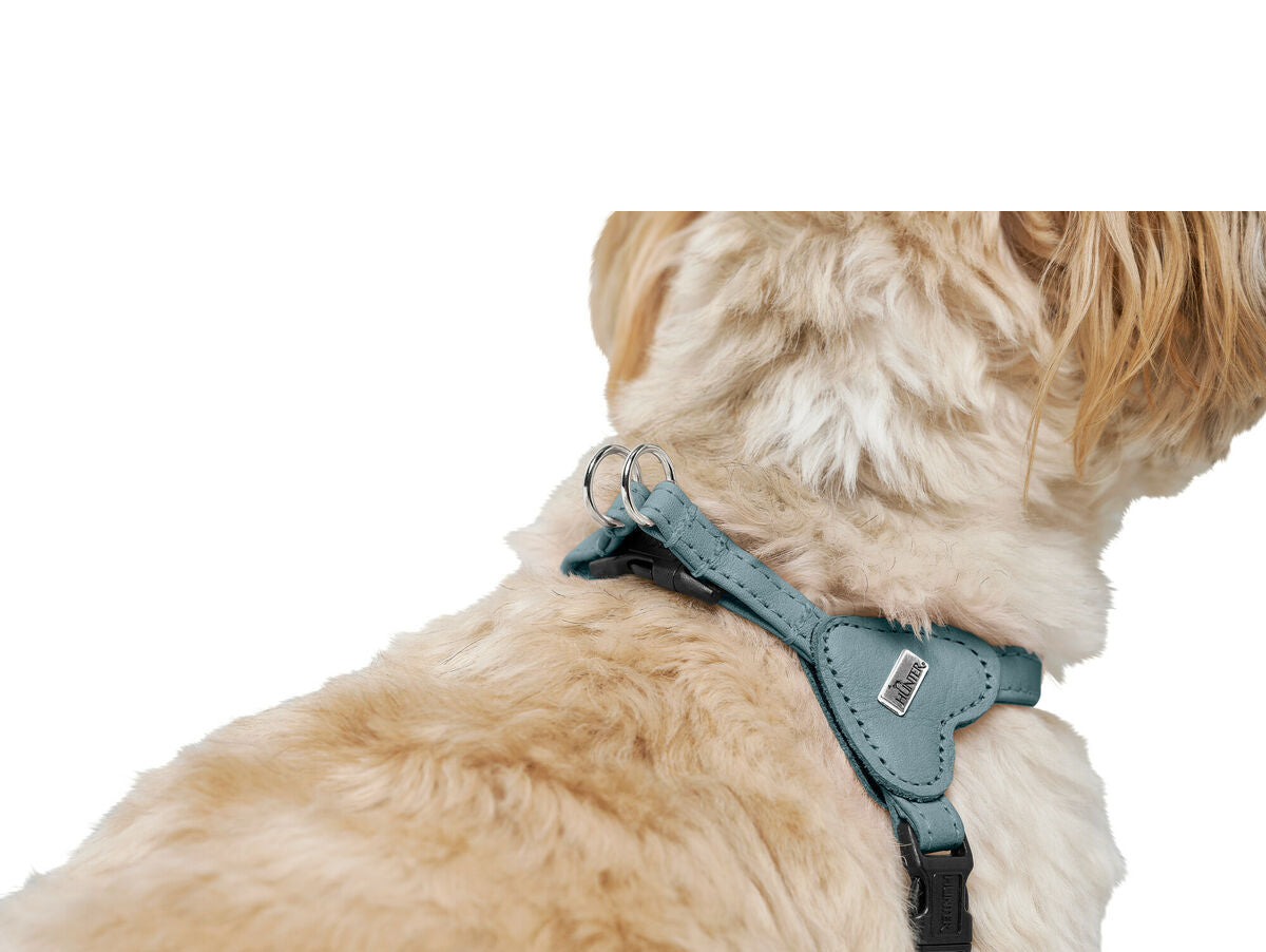 V5H1B2066D57D2D3C644A12C2E445EB19C8R5575577P5