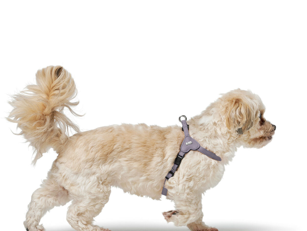 V5H703D504943F0FB27E742404BD29415C9R5575632P5