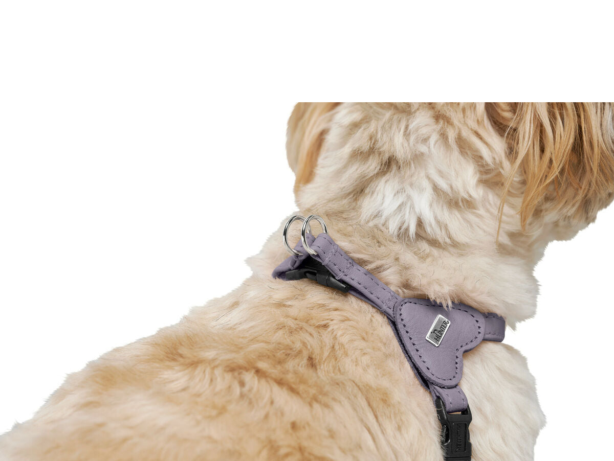 V5HBD84BF5BE54B36553097E6E2C38F3087R5575686P6