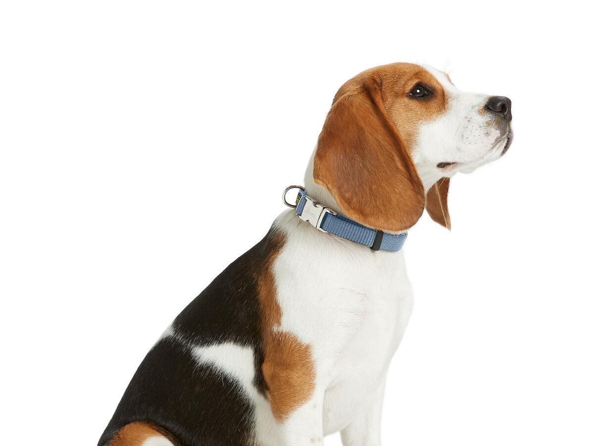 V5HA5A70F827744B2F58FCF1522FEDBF232R5582610P2