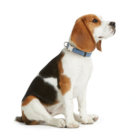 V5H7AAB4A0DA227D64B2223DCC3E9ABA6C1R5582612P2