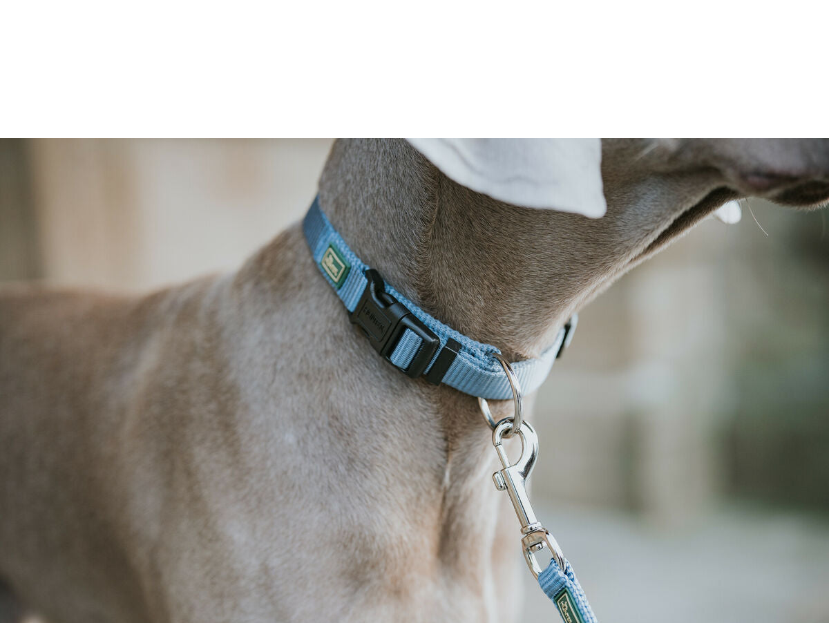 V5H3780F5A0746BCA68826B4E1EB5CE6981R5584341P2