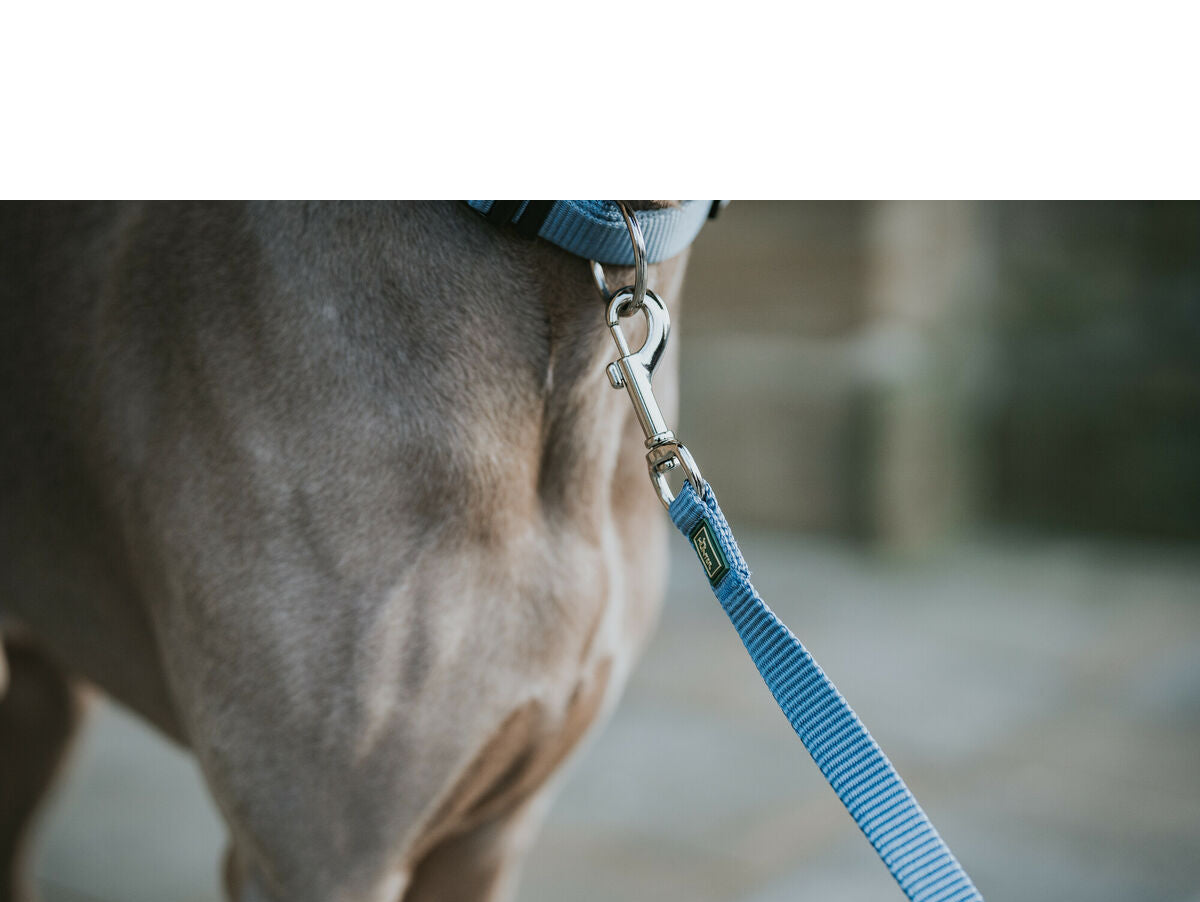 V5H91BD15B5CCA63AA3F00FE5D0779329E7R5584343P3