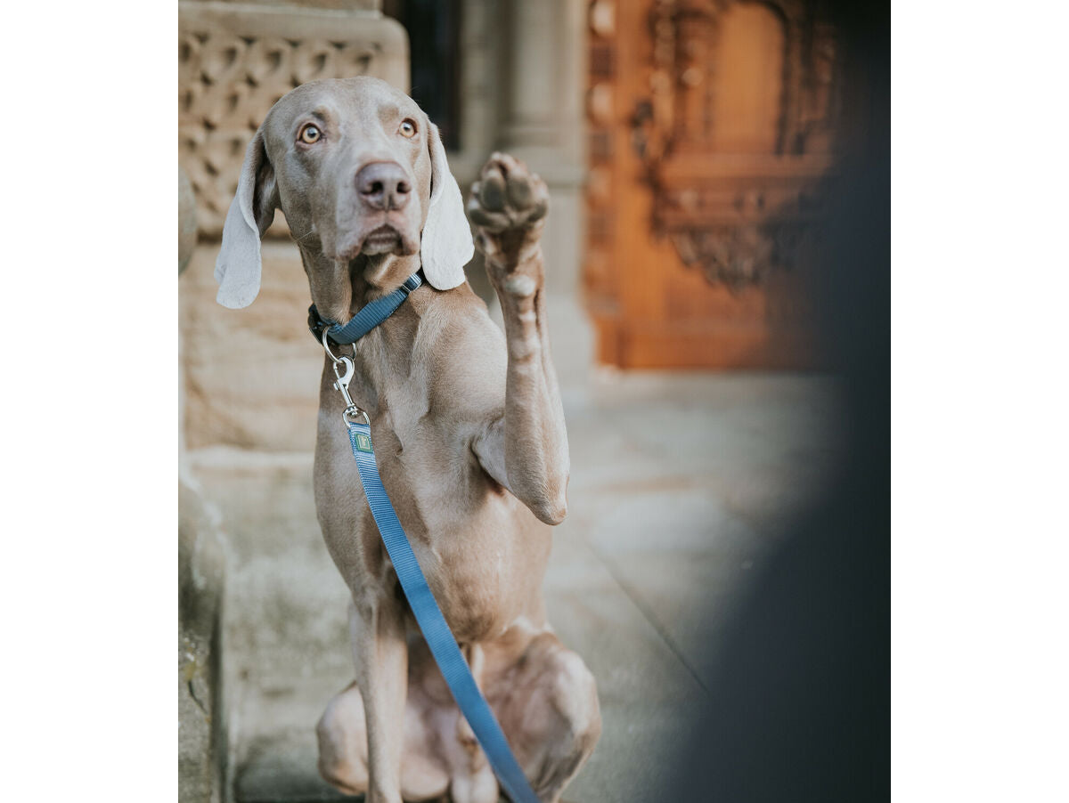 V5H522BA3E1087093E0CB098FC8878552F5R5584344P4