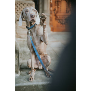 V5H522BA3E1087093E0CB098FC8878552F5R5584344P4