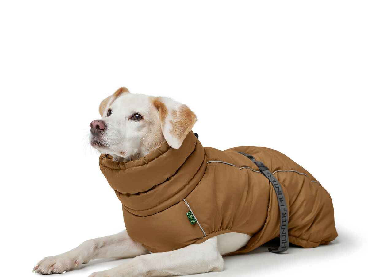 V5H54CDCA576573A4F6BAFF802DFAAFF786R5575908P5