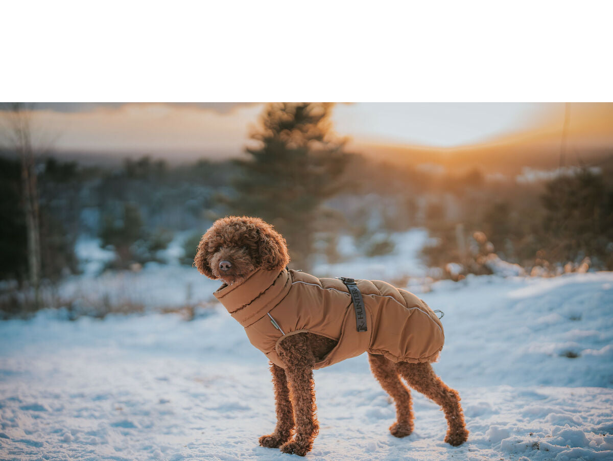 V5HE4556EA4C855348974EFD92ACA96A0AAR5575922P5