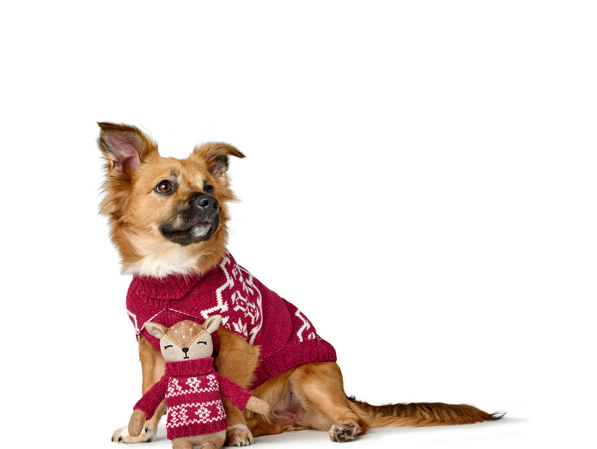 V5H7E845B2271923544A7CAC3B6541BEB37R5574728P2