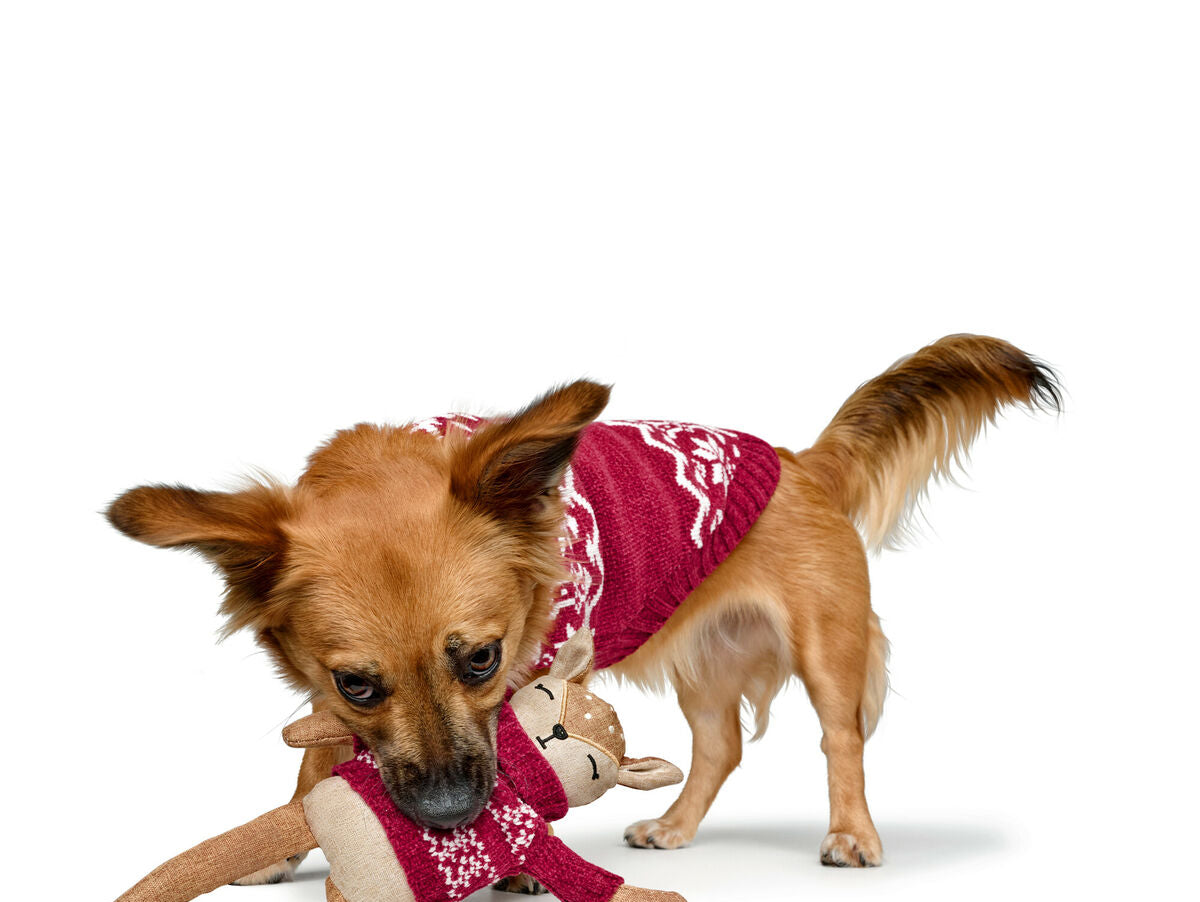 V5H9F4BFC82EF051DD0B29DFEC8EA0461E2R5574729P3