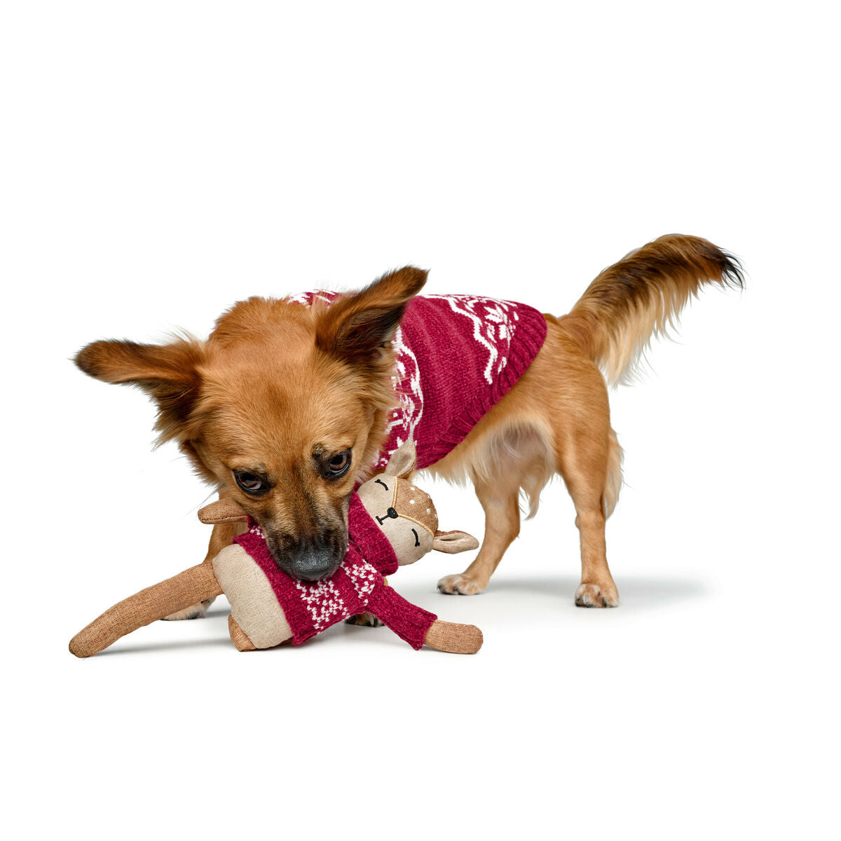 V5H9F4BFC82EF051DD0B29DFEC8EA0461E2R5574729P3