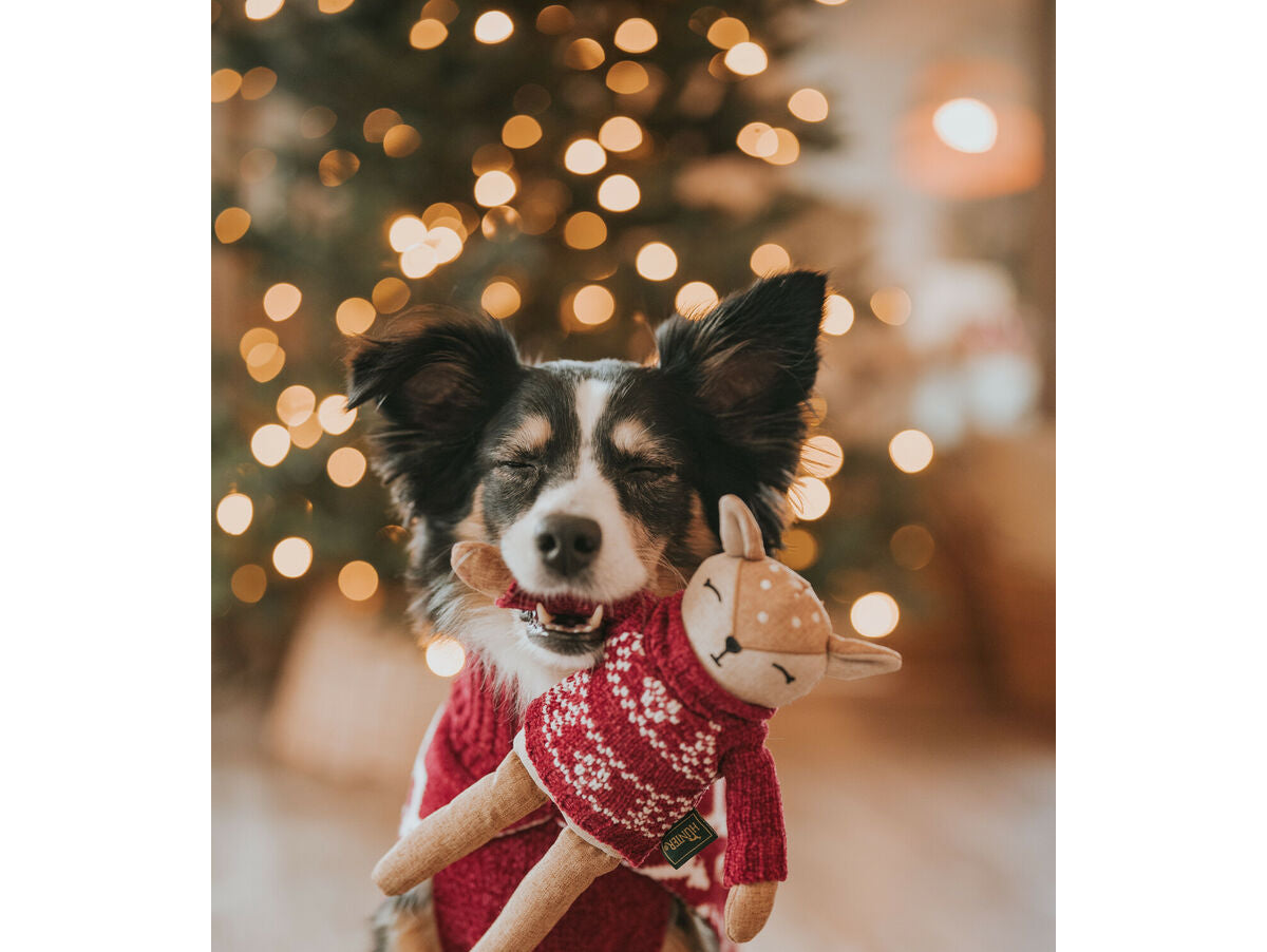 V5HEA850EBC26BCD3C6D27F80194A92B636R5574730P4