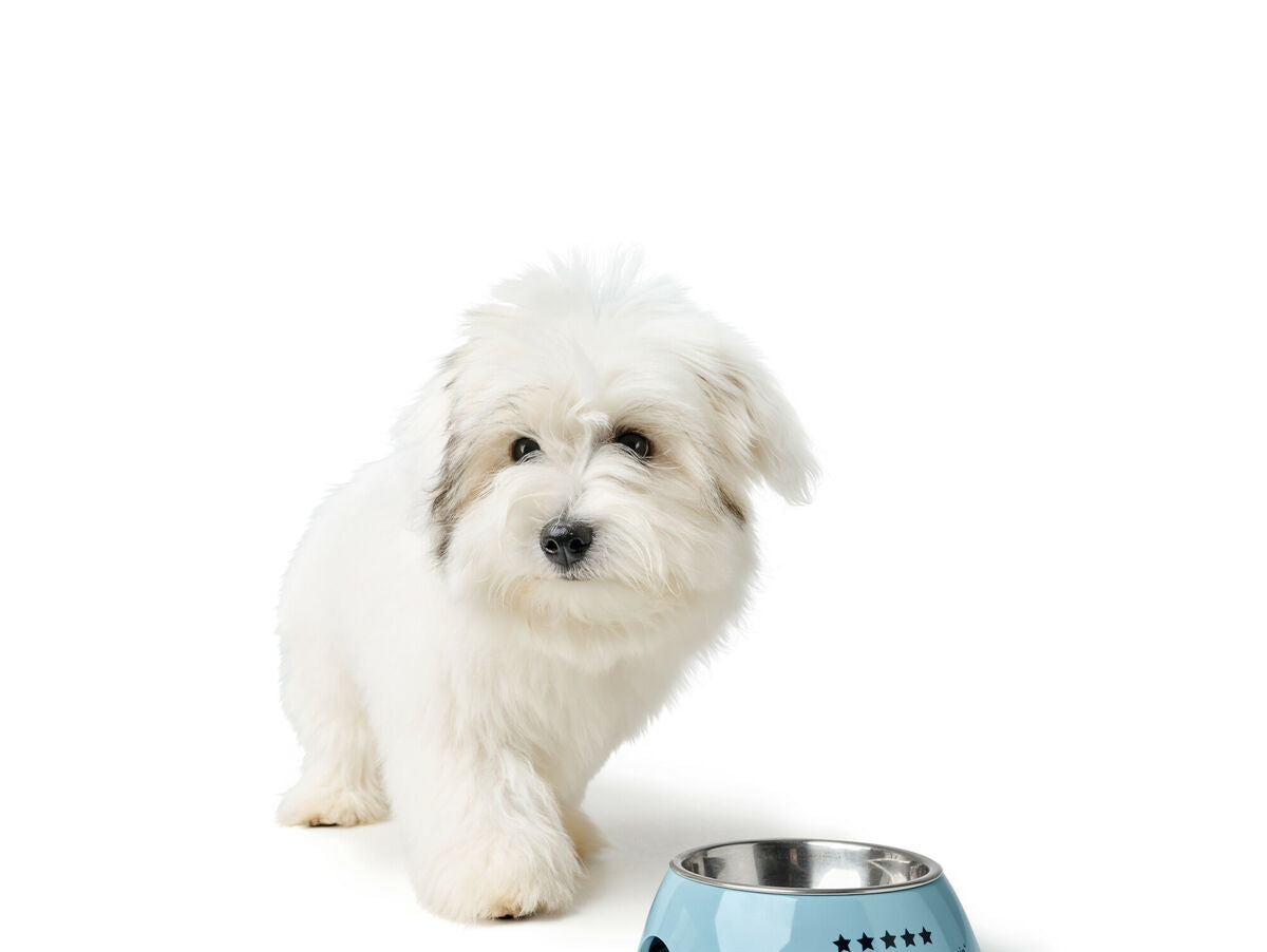 V5HD2AEB9C7C3068260478244BC22F89F53R5574405P3