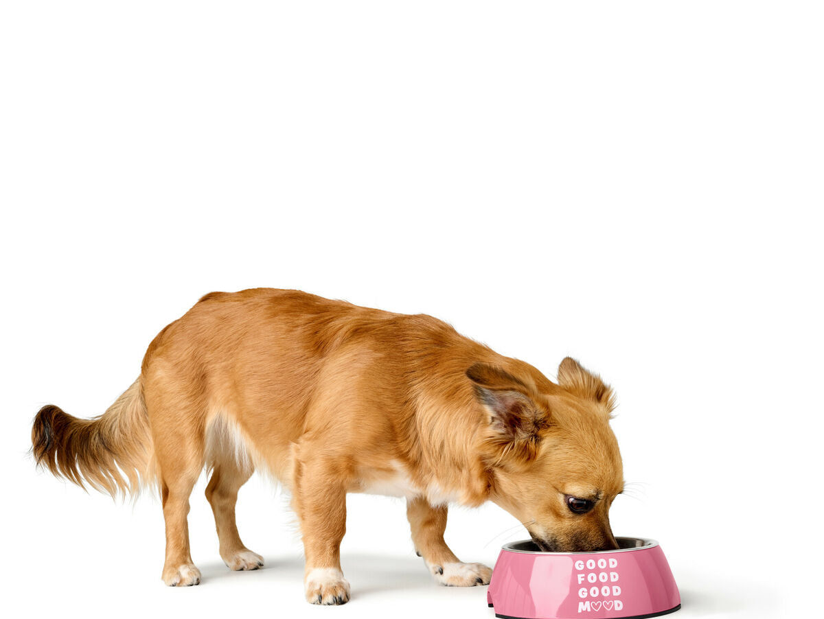 V5HDF1C47816D327BCE918BB08CA295A146R5574432P4