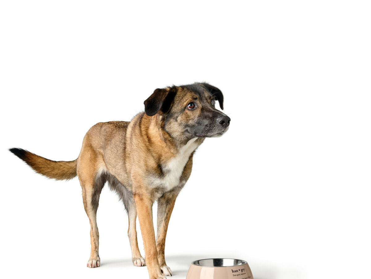 V5H5724BC9A64E53E8C1892E79B549981C5R5574342P4