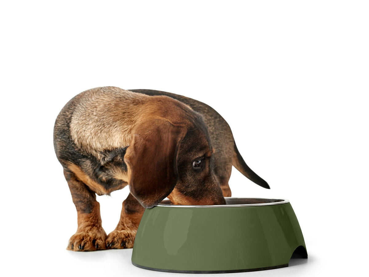 V5HBEF1CF9989AD6A99F2EDBCC21F610E49R5574428P4