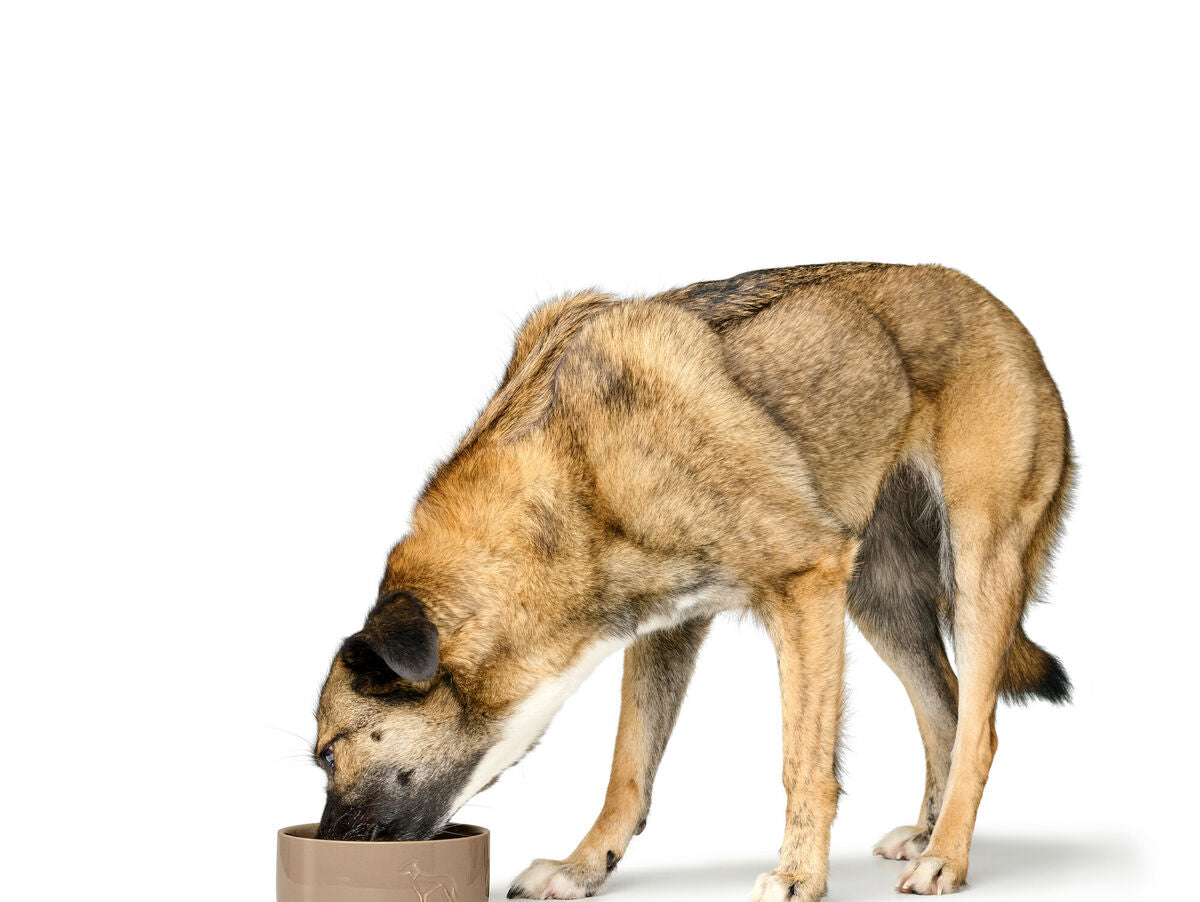 V5H6D08A89573163F96B1B1CD0C6677873AR5587760P4