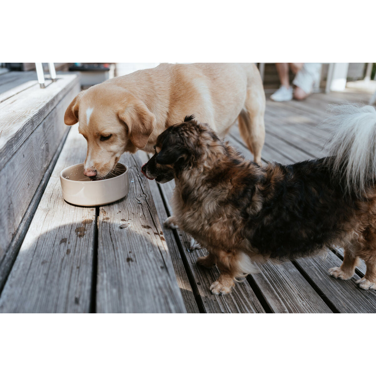 V3H54D2204EBBA87B28BB343B6689ED2BD7R5587765P5