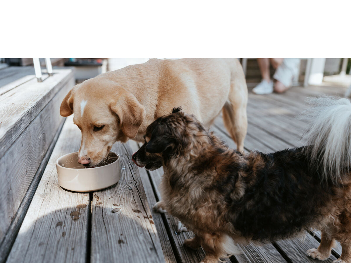 V5H7FACDC3E02F7EB60295741583A05D460R5587762P3