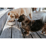 V3H6B9CB4D6A9CDBFB11F684FD5922027B4R5587764P3