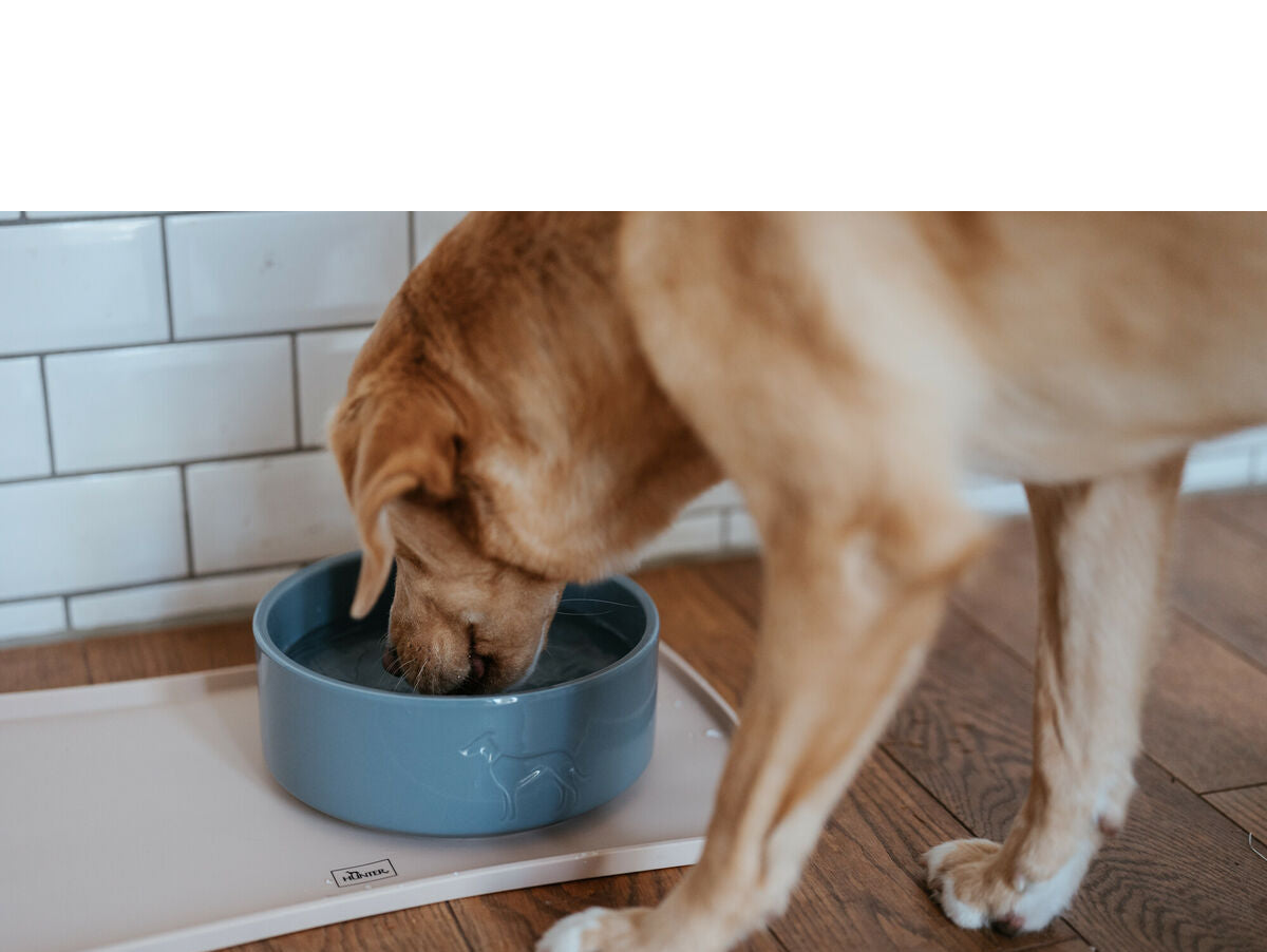 V5HAA1C5DF5A789E78F0C334A4C0A9EF413R5587776P4