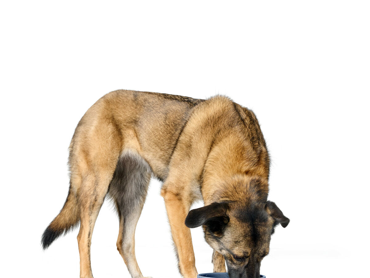 V5HCD6067EF9357C6701B72750B87CCEB01R5584242P2