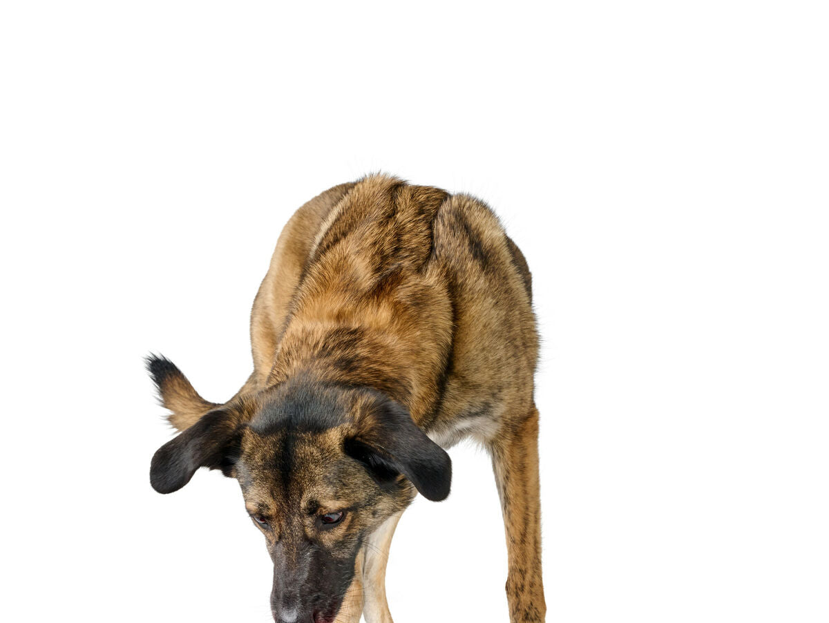 V5HC9A190472794D894A0E2854B08731E89R5587783P3