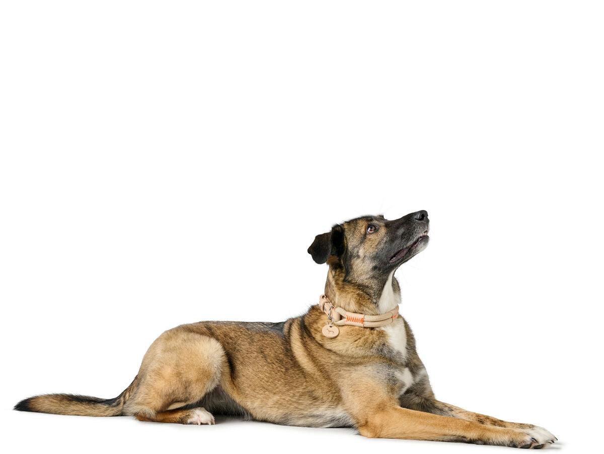 V5H0BBDBF73A42DB0BA356D7AA8933B3C6CR5575412P5